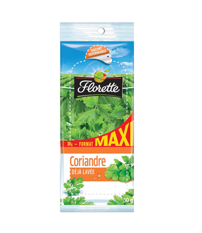 maxi_coriande