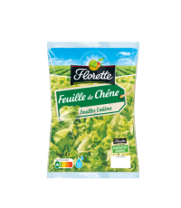 Feuille de Chêne Verte Florette