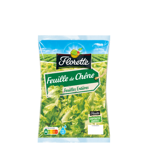 Feuille de Chêne Verte Florette