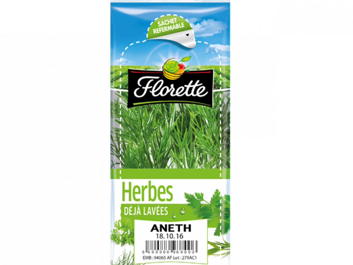 Aneth Florette