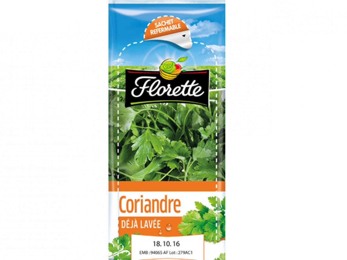 Coriandre Florette