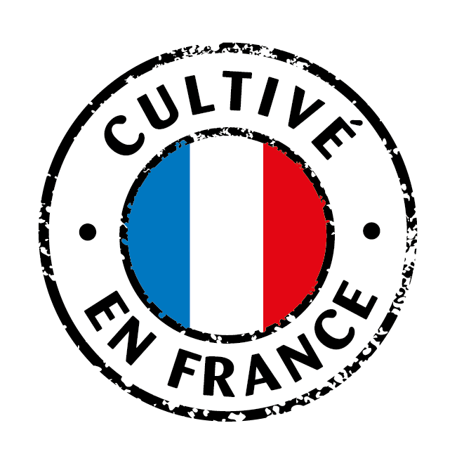 CULTIVE EN FRANCE- masculin