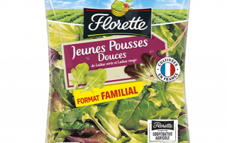 Jeunes Pousses