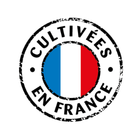 Cultivées en France