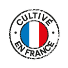 Origine France
