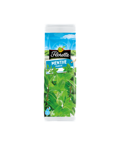 Image du format menthe11g