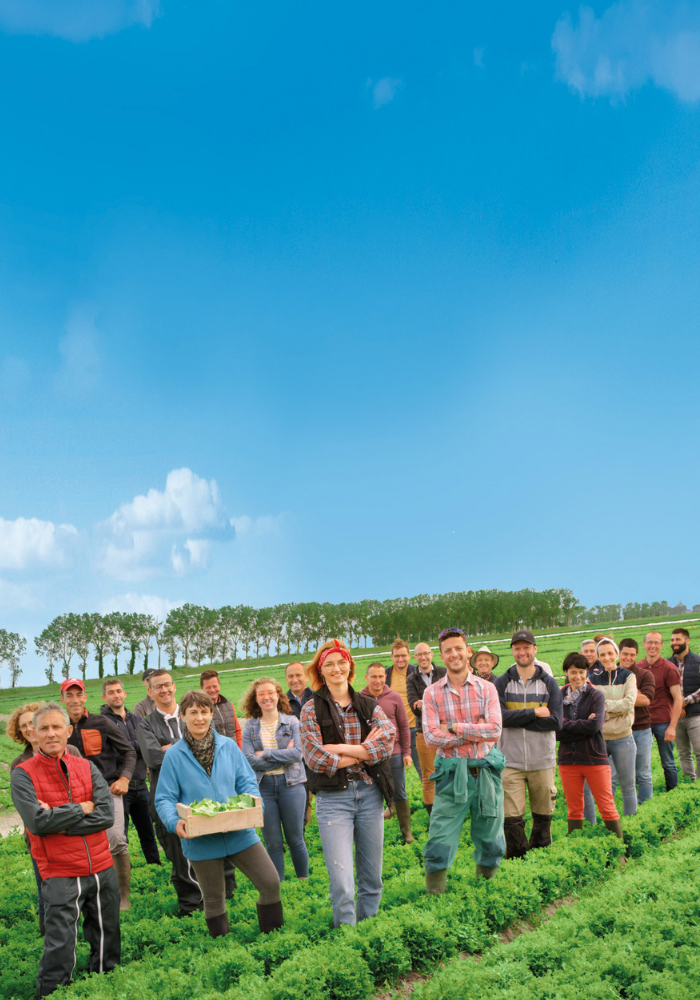 Coopérative agriculteurs Florette